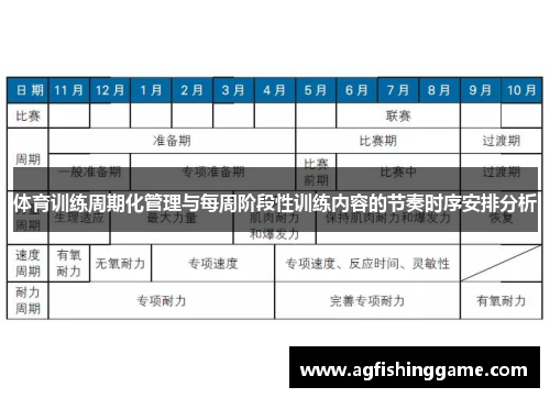 体育训练周期化管理与每周阶段性训练内容的节奏时序安排分析